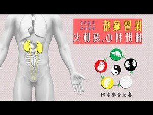 腎 五行